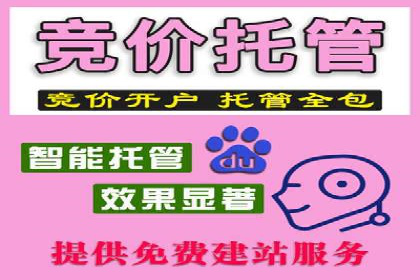 百度广告竞价策略详解：某电商平台的成功案例